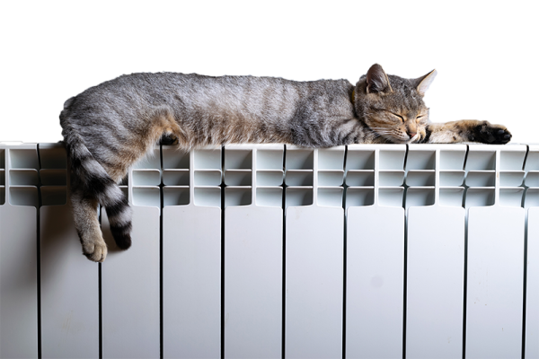 tiger-cat-relaxing-warm-radiator tiger-cat-relaxing-warm-radiator
